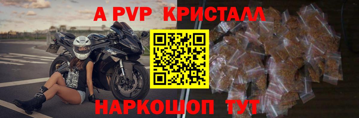 Скопин  Альфа ПВП СК  как найти закладки  Вход с VPN  Альфа ПВП СК КРИС 