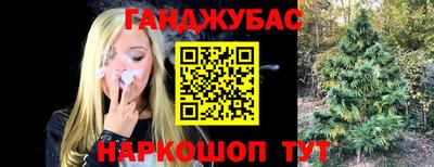 ПСИЛОЦИБИНОВЫЕ ГРИБЫ Нальчик